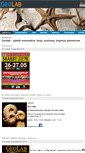 Mobile Screenshot of geolab.pl